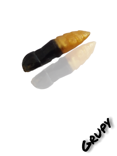 Trout Rocker Grupy 30mm Schwarz/Gold